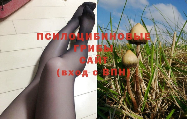 шишки Армянск