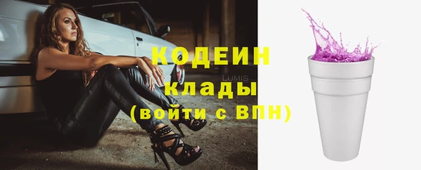 шишки Армянск