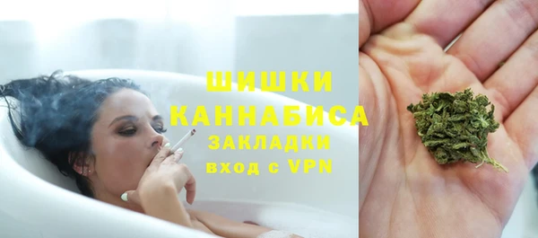 шишки Армянск