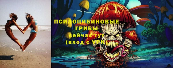 шишки Армянск