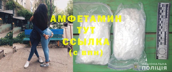 шишки Армянск
