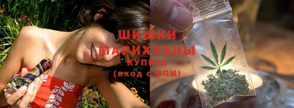 шишки Армянск
