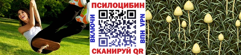 мориарти наркотические препараты наркотики Волгоград Псилоцибиновые грибы прущие грибы